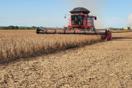 El Niño ameaça colheitas e produção pecuária em MT