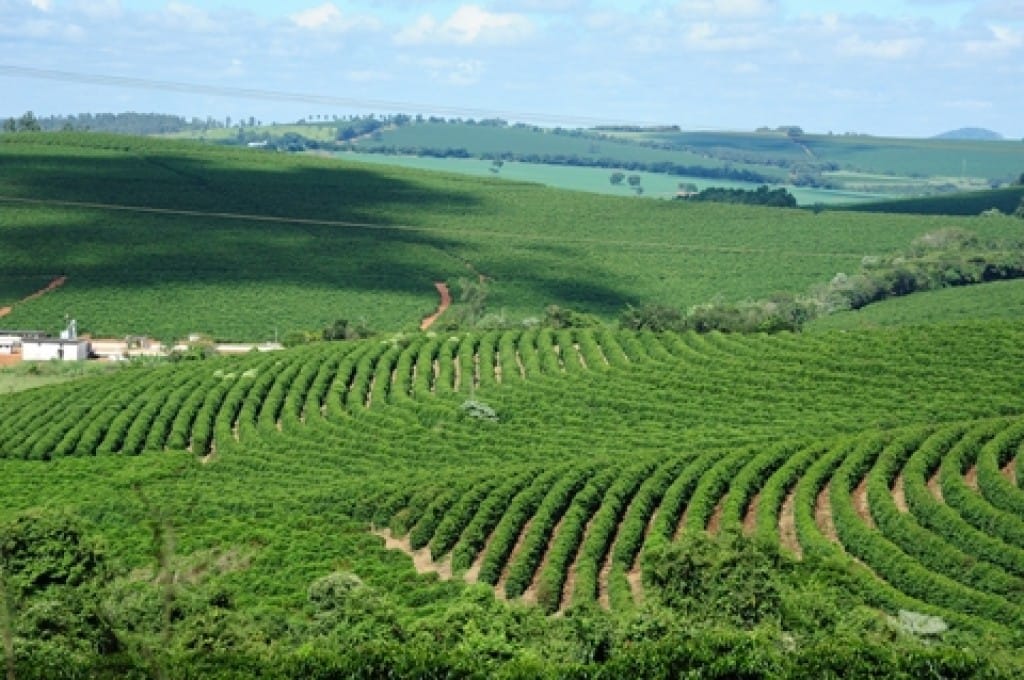 Agronegócio de Minas Gerais gera R$ 45,6 bi em exportações no 1º semestre