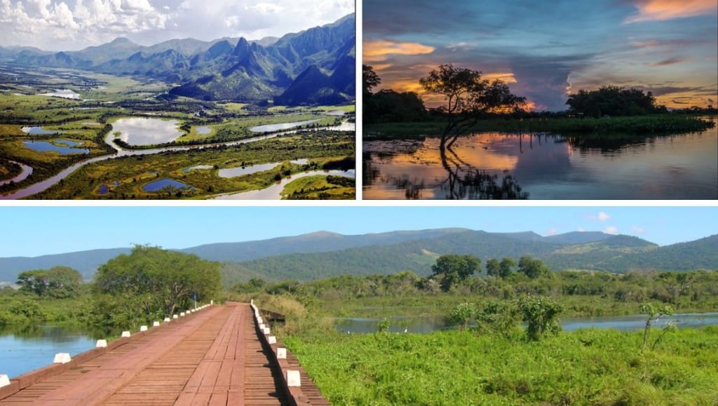 Pantanal em MT e MS oferece turismo entre natureza, cultura e aventura