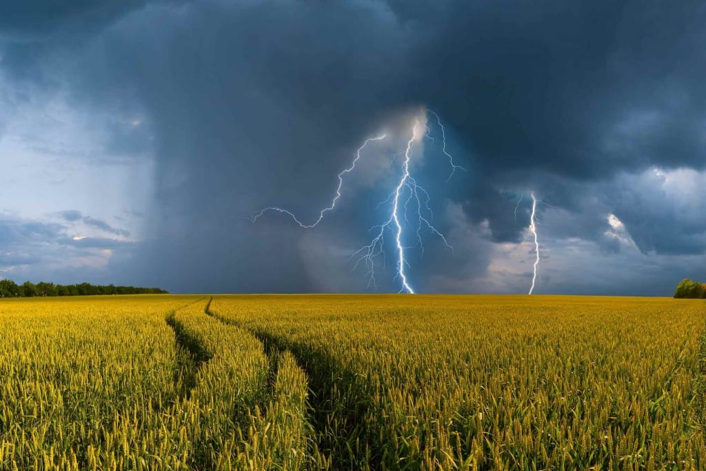 El Niño intenso pode atrasar plantio de soja e afetar milho no Centro-Oeste