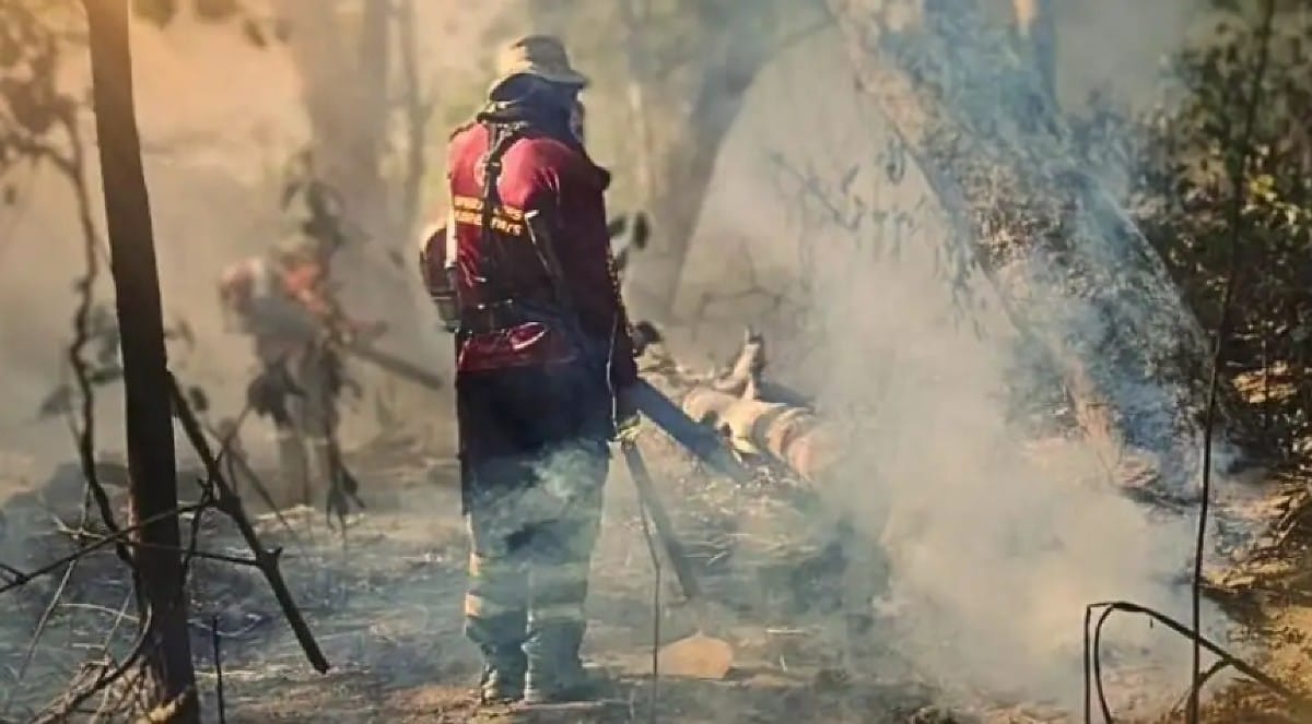 Bombeiros enfrentam 13 incêndios florestais em MT