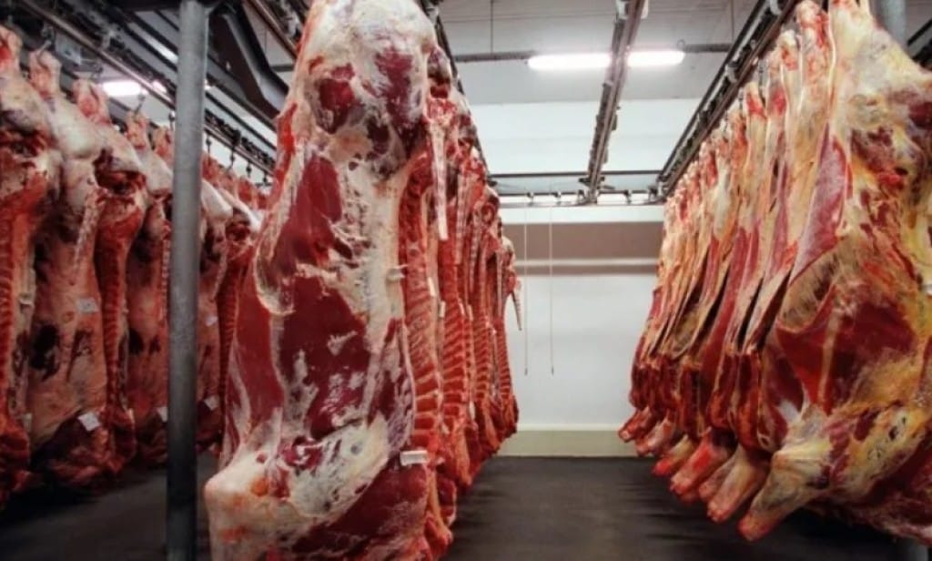 Exportação de Carne de MT Cresce 29,6% e Gera R$ 14,5 Bi em Receita
