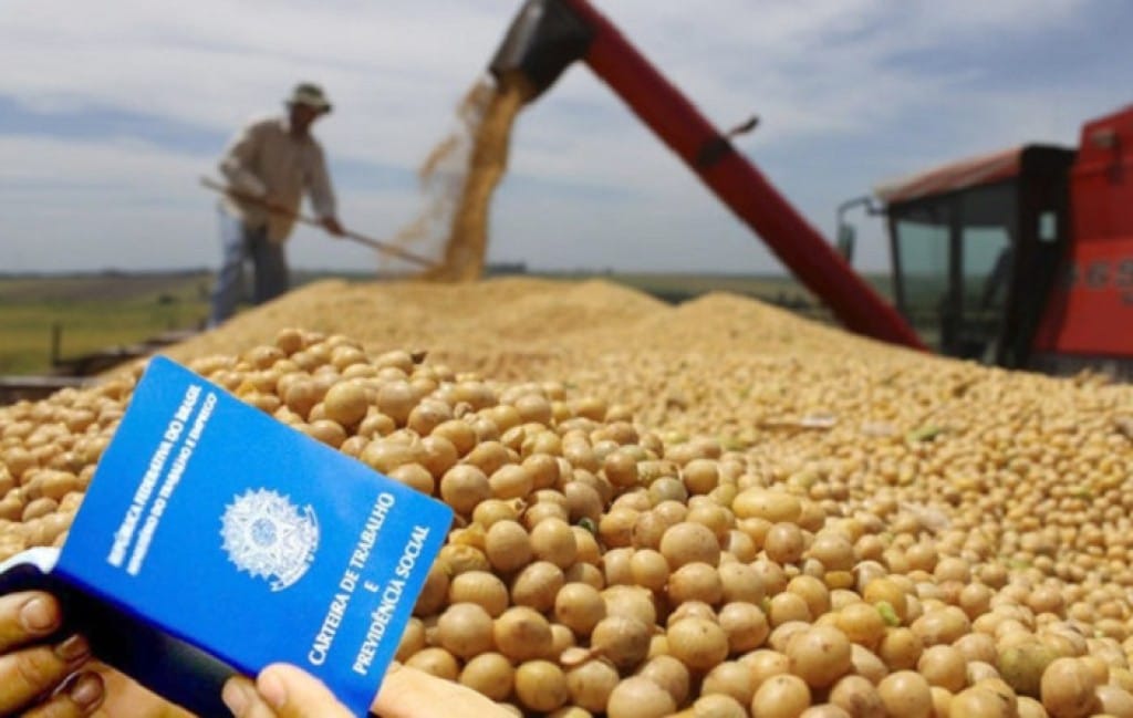 Agronegócio gera 190 mil empregos e aumenta renda em 2,7% no 1º tri de 2026