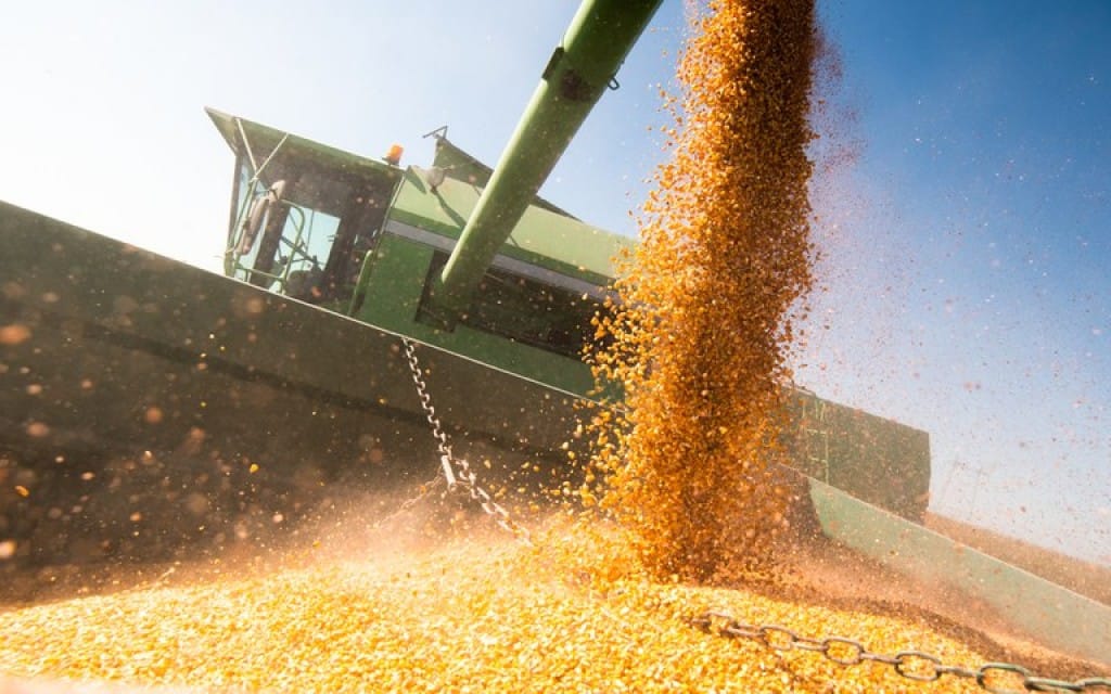 Agro deve representar quase 23% da economia brasileira em 2026