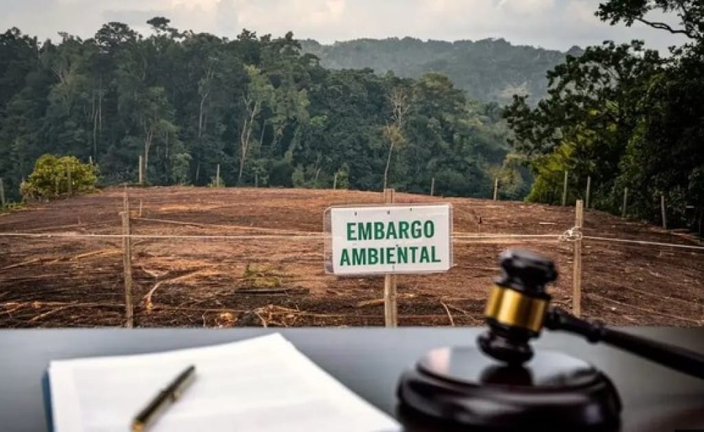 Produtores de MT poderão recuperar crédito se área embargada não for analisada em 60 dias