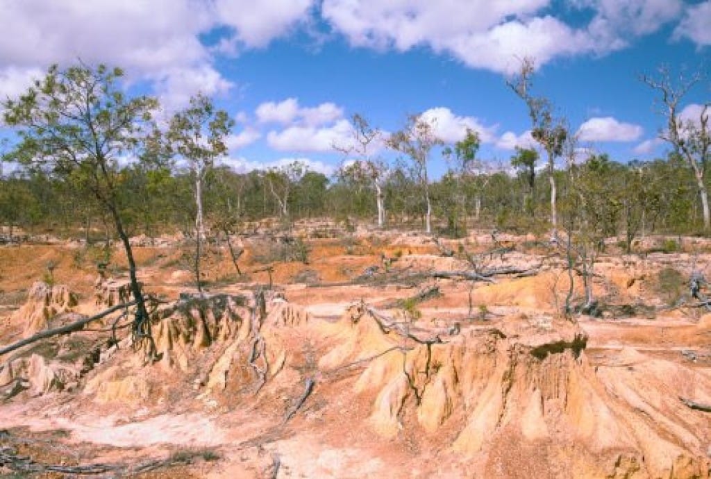 Pará investe R$ 257 mi na restauração de 10 mil hectares na APA Triunfo do Xingu