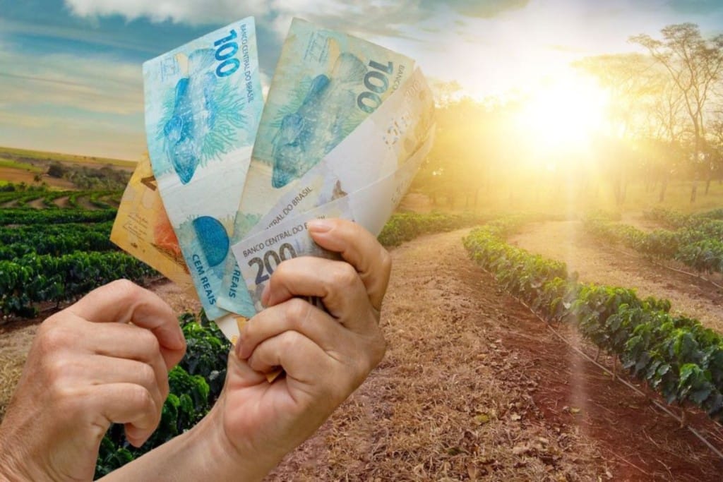 Renegociação de R$100 bilhões em dívidas rurais avança devagar e dificulta acesso ao produtor
