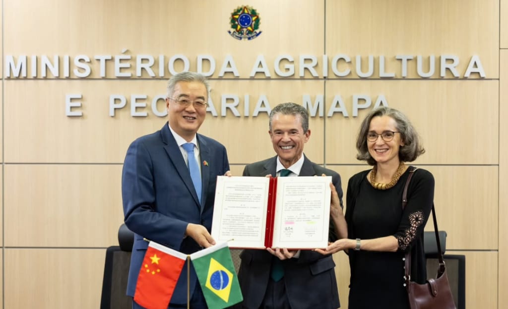 Brasil e China firmam acordo para exportar mais miúdos suínos ao mercado chinês